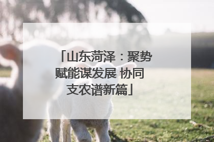 山东菏泽：聚势赋能谋发展 协同支农谱新篇