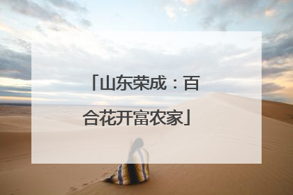 山东荣成：百合花开富农家
