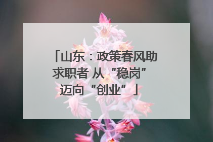 山东：政策春风助求职者 从“稳岗”迈向“创业”