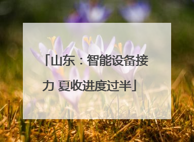 山东：智能设备接力 夏收进度过半