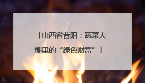 山西省昔阳：蔬菜大棚里的“绿色财富”