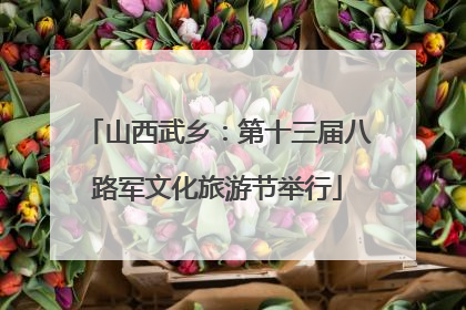 山西武乡：第十三届八路军文化旅游节举行