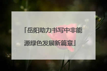 岳阳助力书写中非能源绿色发展新篇章