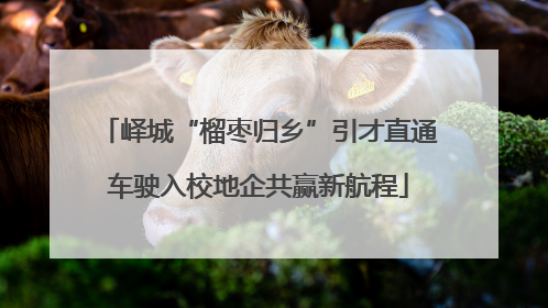 峄城“榴枣归乡”引才直通车驶入校地企共赢新航程