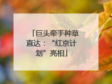 巨头牵手种草直达：“红京计划”亮相