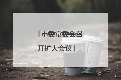 市委常委会召开扩大会议