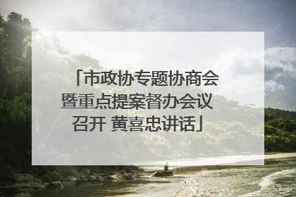 市政协专题协商会暨重点提案督办会议召开 黄喜忠讲话