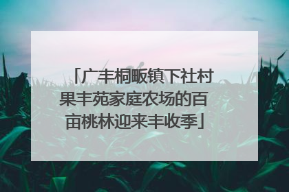 广丰桐畈镇下社村果丰苑家庭农场的百亩桃林迎来丰收季
