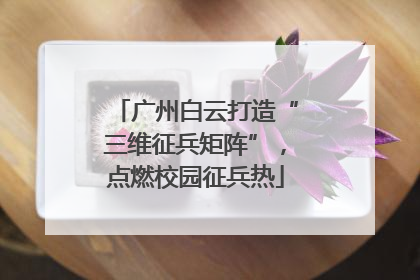 广州白云打造“三维征兵矩阵”，点燃校园征兵热