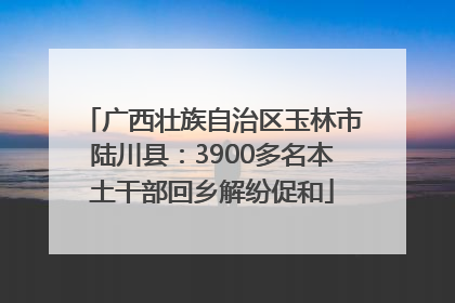 广西壮族自治区玉林市陆川县：3900多名本土干部回乡解纷促和