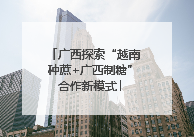 广西探索“越南种蔗+广西制糖”合作新模式