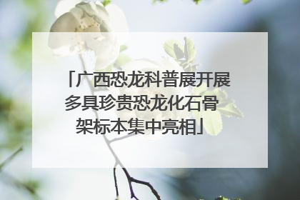 广西恐龙科普展开展 多具珍贵恐龙化石骨架标本集中亮相