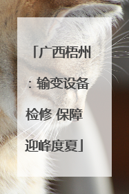广西梧州：输变设备检修 保障迎峰度夏