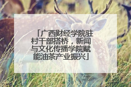 广西财经学院驻村干部搭桥，新闻与文化传播学院赋能油茶产业振兴