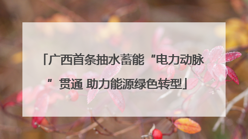 广西首条抽水蓄能“电力动脉”贯通 助力能源绿色转型