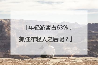 年轻游客占63%，抓住年轻人之后呢？