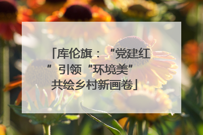 库伦旗：“党建红”引领“环境美” 共绘乡村新画卷