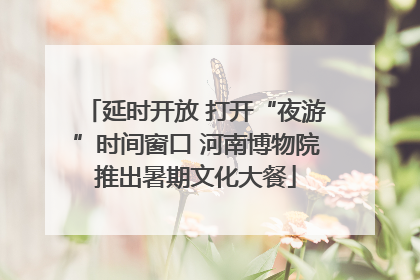 延时开放 打开“夜游”时间窗口 河南博物院推出暑期文化大餐