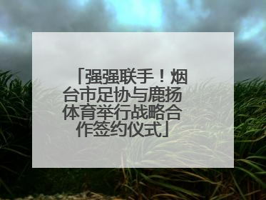 强强联手！烟台市足协与鹿扬体育举行战略合作签约仪式