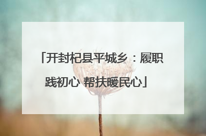 开封杞县平城乡：履职践初心 帮扶暖民心