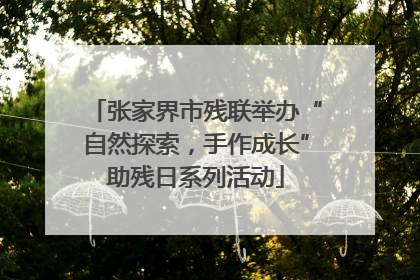 张家界市残联举办“自然探索，手作成长”助残日系列活动