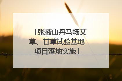 张掖山丹马场艾草、甘草试验基地项目落地实施