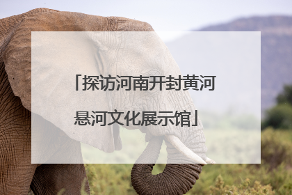 探访河南开封黄河悬河文化展示馆