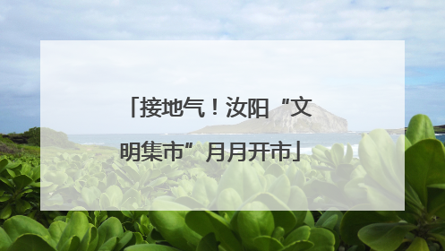 接地气！汝阳“文明集市”月月开市
