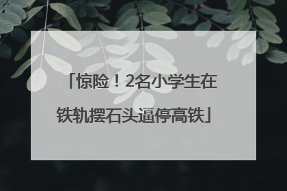 惊险！2名小学生在铁轨摆石头逼停高铁