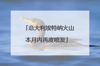 意大利埃特纳火山本月内再度喷发