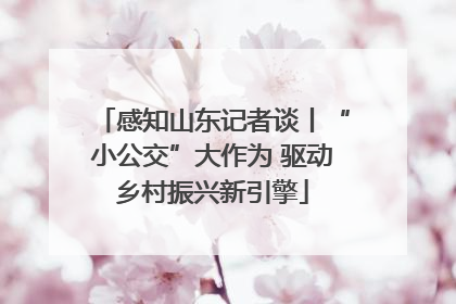 感知山东记者谈丨“小公交”大作为 驱动乡村振兴新引擎