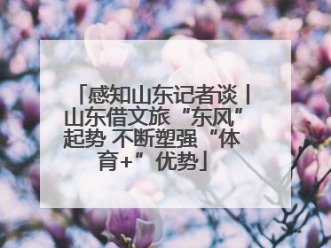 感知山东记者谈丨山东借文旅“东风”起势 不断塑强“体育+”优势