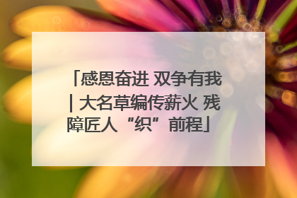 感恩奋进 双争有我｜大名草编传薪火 残障匠人“织”前程