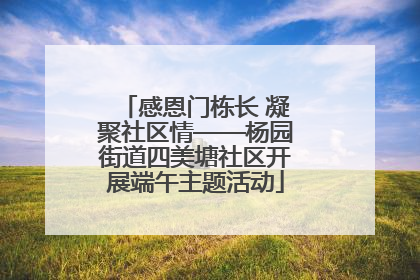 感恩门栋长 凝聚社区情——杨园街道四美塘社区开展端午主题活动