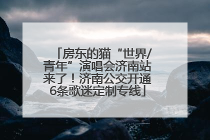 房东的猫“世界/青年”演唱会济南站来了！济南公交开通6条歌迷定制专线