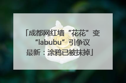 成都网红墙“花花”变“labubu”引争议 最新：涂鸦已被抹掉