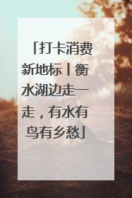 打卡消费新地标丨衡水湖边走一走，有水有鸟有乡愁