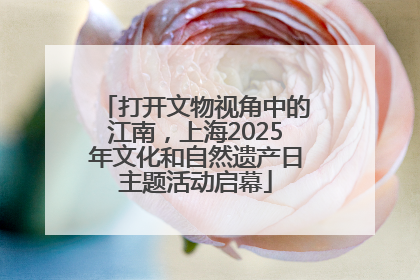 打开文物视角中的江南，上海2025年文化和自然遗产日主题活动启幕