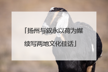 扬州与叙永以荷为媒续写两地文化佳话