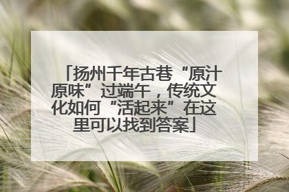扬州千年古巷“原汁原味”过端午，传统文化如何“活起来”在这里可以找到答案