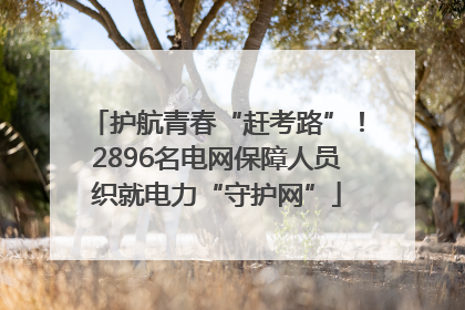 护航青春“赶考路”！2896名电网保障人员织就电力“守护网”