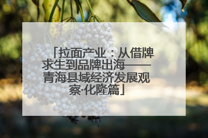 拉面产业：从借牌求生到品牌出海——青海县域经济发展观察·化隆篇