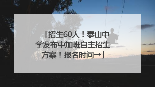 招生60人！泰山中学发布中加班自主招生方案！报名时间→