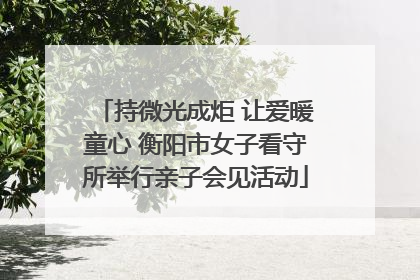 持微光成炬 让爱暖童心 衡阳市女子看守所举行亲子会见活动