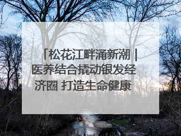 松花江畔涌新潮｜医养结合撬动银发经济圈 打造生命健康产业新样本
