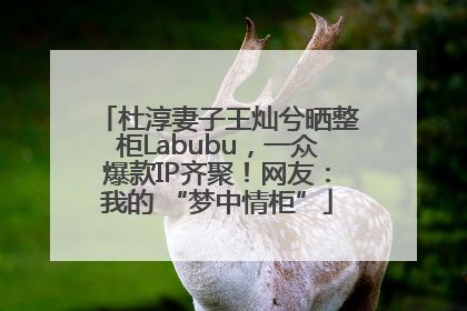 杜淳妻子王灿兮晒整柜Labubu，一众爆款IP齐聚！网友：我的 “梦中情柜”