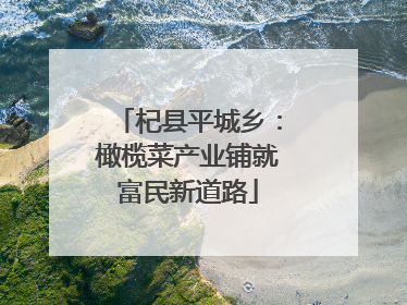 杞县平城乡：橄榄菜产业铺就富民新道路