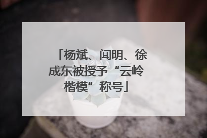 杨斌、闻明、徐成东被授予“云岭楷模”称号