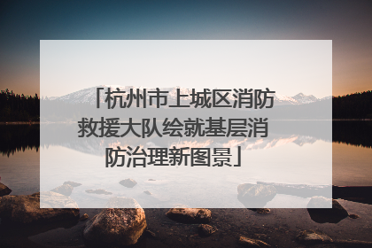 杭州市上城区消防救援大队绘就基层消防治理新图景