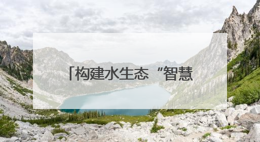 构建水生态“智慧网” 成都青羊“智能哨兵”上岗